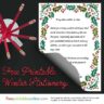 Lustrous Holley Winter Stationery (A4)