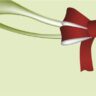 Red and Green Bow Gift Tags